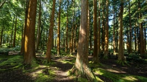 New digital tool helps developers meet biodiversity requirements