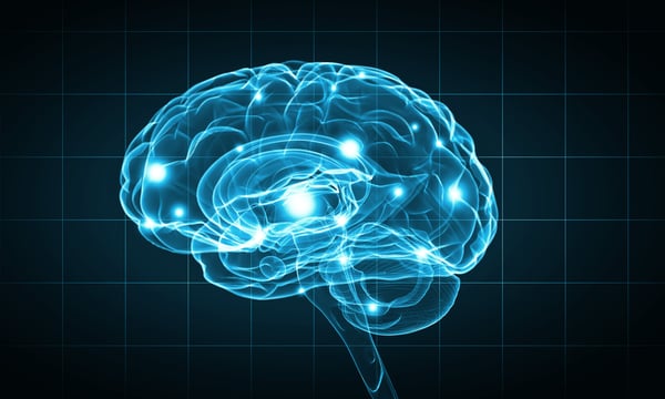 AI tool being used to promote knowledge sharing in government 
