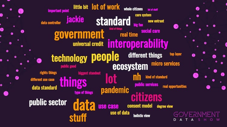 Government Data Show word cloud summary