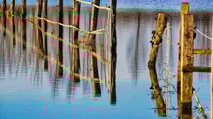 Case Study: The Intelligent Flood Readiness Model